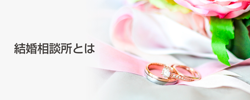 Go結婚NAVIの特徴